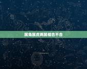 属兔属虎两属相合不合，属虎和属兔的相冲吗？