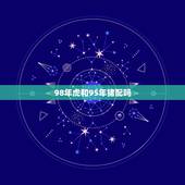 98年虎和95年猪配吗，90马和93鸡属相合不合