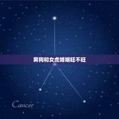 男狗和女虎婚姻旺不旺，女虎和男狗属相合不合