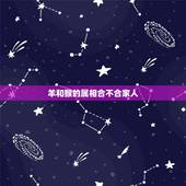 羊和猴的属相合不合家人，属羊与属猴的合不合