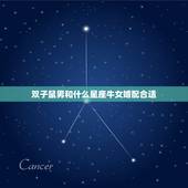 双子鼠男和什么星座牛女婚配合适，双子座男生和什么星座女生最配