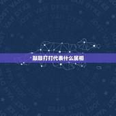 敲敲打打代表什么属相，敲锣打鼓万民乐是什么生肖