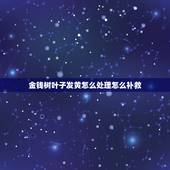 金钱树叶子发黄怎么处理怎么补救，金钱树叶子发黄怎么办？应该怎么补救？