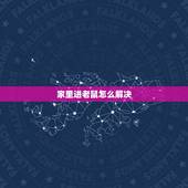 家里进老鼠怎么解决，家里跑进一只老鼠预兆