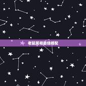 老鼠属相最佳婚配，生肖鼠跟什么最配，属鼠的属相婚配表