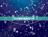 什么是合8生肖合八字，为什么合婚的时候，要结合生肖和八字？