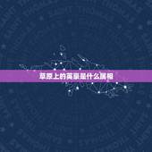 草原上的英豪是什么属相，草原上的英豪指的是什么生肖