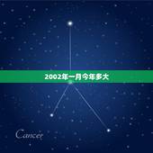 2002年一月今年多大，2002年到2022 年周岁多大