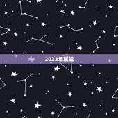 2022年属蛇，2022年属蛇1989