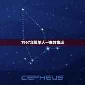 1967年属羊人一生的命运，1982年属狗是什么命