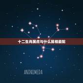 十二生肖属虎与什么属相最配，属虎的男生和什么属相的女生最配？