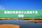 属猪的克星是什么属相不宜婚配，属猪与属什么的相冲相克