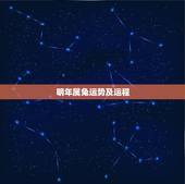 明年属兔运势及运程，属兔的人2023年运势及运程