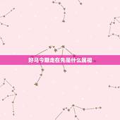 好马今期走在先是什么属相，好马今期走在先，好狗独守龙门前。打一生肖各有