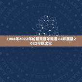 1984年2022年的鼠是百年难遇 84年属鼠2022牢狱之灾