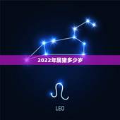 2022年属猪多少岁，2022犯太岁的生肖