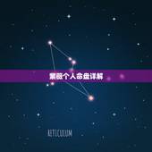 紫薇个人命盘详解(免费版)，紫薇命盘免费详解