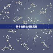 属牛的更佳婚配属相，1997属牛多少岁结婚好