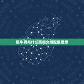属牛男与什么属相女婚配最理想，属牛的和什么属相最配