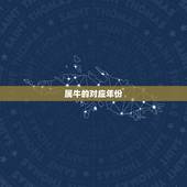 属牛的对应年份，年份对应天干地支