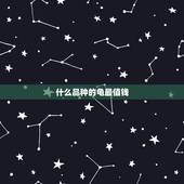 什么品种的龟最值钱，家养乌龟什么品种最珍贵
