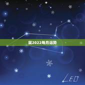 鼠2022每月运势，属鼠2022年运势及运程