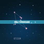 什么八字桃花运旺，2朵正缘桃花是同一人吗