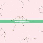 1986年属相是什么，86年属虎的是什么命