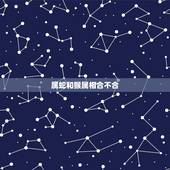 属蛇和猴属相合不合，虎和猴属相合不合