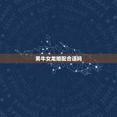 男牛女龙婚配合适吗，男牛女龙婚姻合适吗