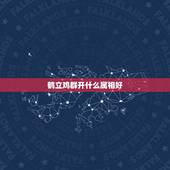 鹤立鸡群开什么属相好，出类拔萃这个成语行形容十二生肖那个动物？