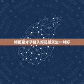 婚配是才子佳人好还是天生一对好，天生一对好还是相伴到老好呢？