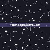 79年的男羊和78年的女马婚配，78年女和79年男婚配合适吗6