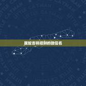 属蛇吉祥招财的微信名，属蛇的用什么微信头像，微信名最吉利？
