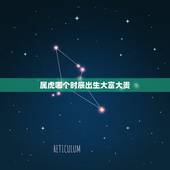 属虎哪个时辰出生大富大贵，属虎的什么时辰出生最好