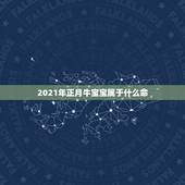 2021年正月牛宝宝属于什么命，2021年属牛是什么命