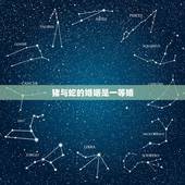 猪与蛇的婚姻是一等婚，肖蛇与肖猪婚姻