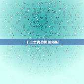 十二生肖的更佳婚配，十二生肖更佳姻缘配对