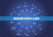 属龙的属牛的是什么婚配，属龙的和属牛的相配吗？