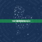 1981属鸡转折点2022 1981生肖鸡2022的运势
