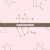 深度转运快递查询，国际快递物流系统