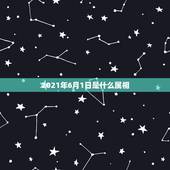 2021年6月1日是什么属相，2021属相全年运势