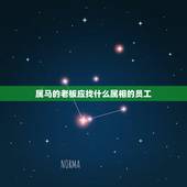 属马的老板应找什么属相的员工，老板属狗员工属兔