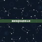 属蛇在鼠年运势怎么样，属兔在鼠年运势怎么样