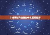 牛妈妈和狗爸爸生什么属相最好，爸爸属羊妈妈属猪生个什么宝宝好