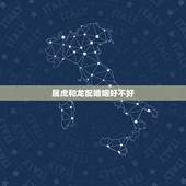 属虎和龙配婚姻好不好，男属虎女属龙婚姻状况