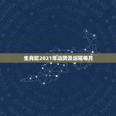 生肖蛇2021年运势及运程每月，属蛇人2021年每月运势运程每月