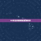 95年生的猪婚配属啥的好，男属鸡生于九三年正月十六巳时婚配女属猪生于九