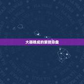 大器晚成的紫微命盘，紫微命盘十大富贵格局