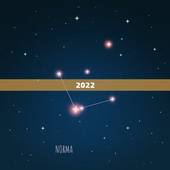 2022 乙木遇真爱月份，乙木2022年运势会如何